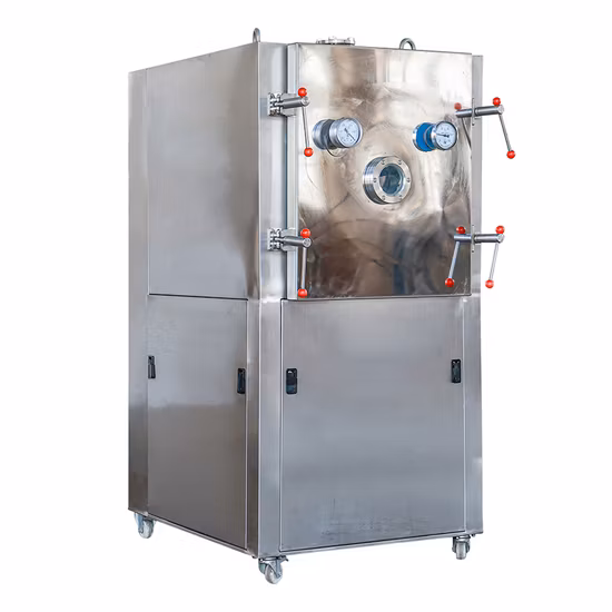 Fzg-15 Series Low Temperature Vacuum Drying Equipment for Preserved Fruit, Green Skin Mango